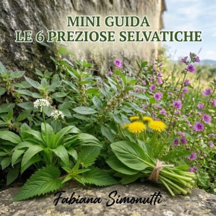 Mini Guida 6 Erbe Alchemiche